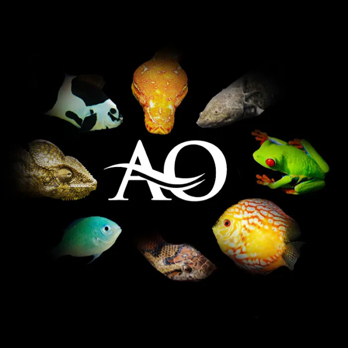 Aquarium Outfitters Carolina Picture 5