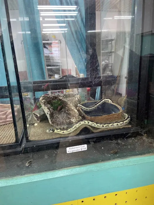 Aquarium Outfitters Carolina Picture 3