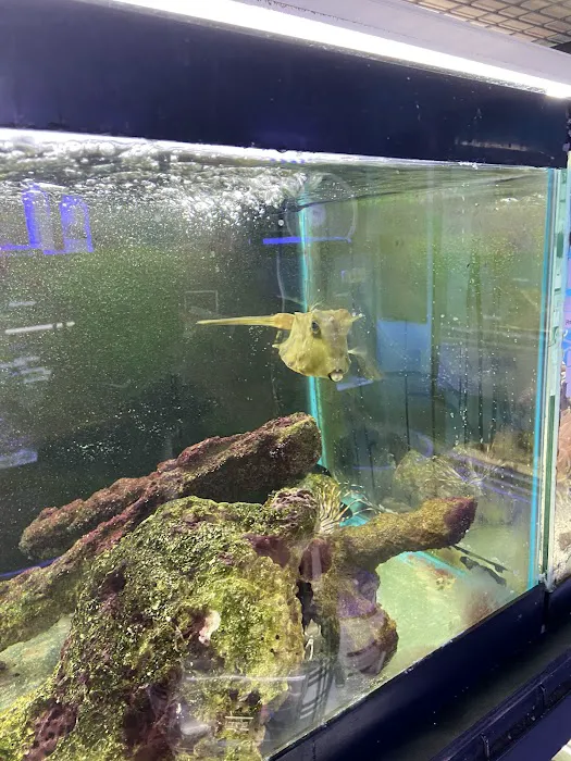Aquarium Outfitters Carolina Picture 6