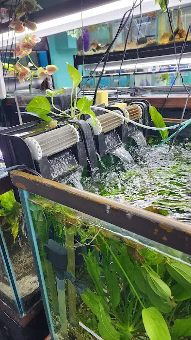 Aquarium Outfitters Carolina Picture 2