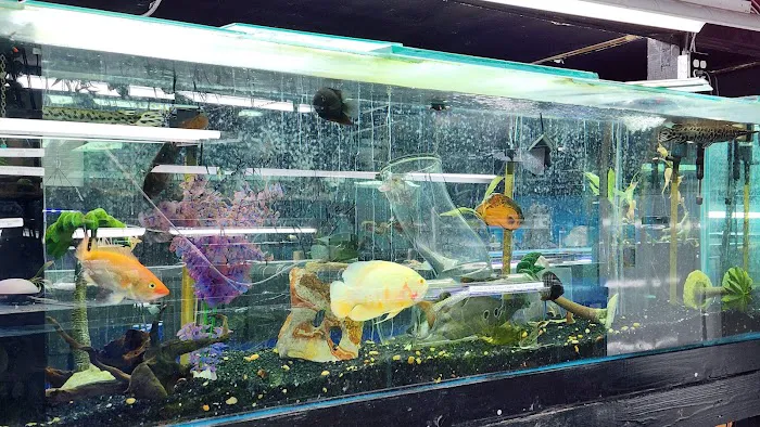 Aquarium Outfitters Carolina Picture 7