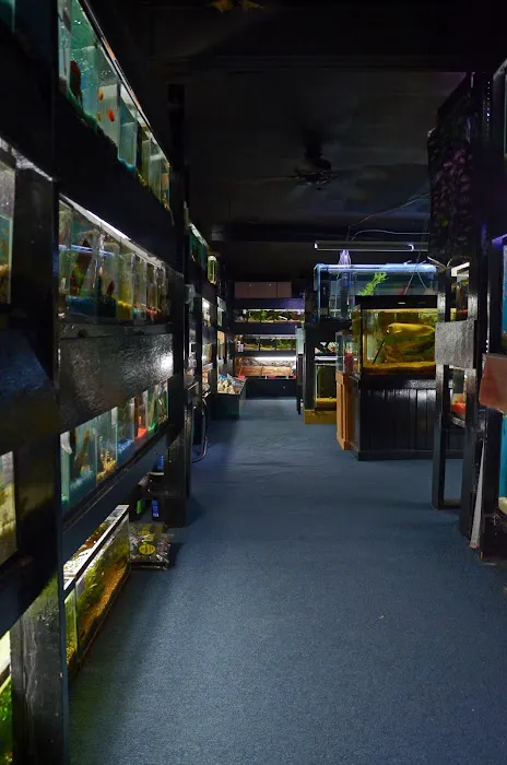Aquarium Outfitters Carolina Picture 10