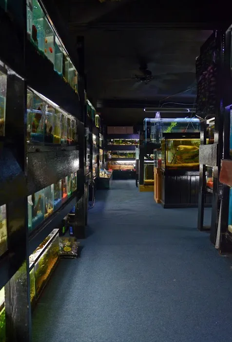 Aquarium Outfitters Carolina Picture 8