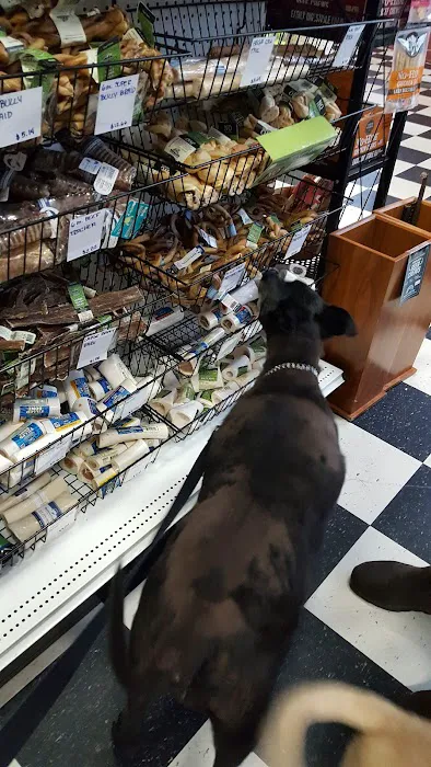 Pet Mania Picture 4