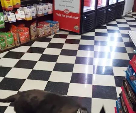 Pet Mania