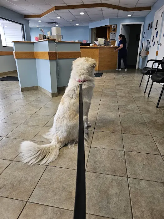 VCA Southern Tier Animal Hospital Picture 1