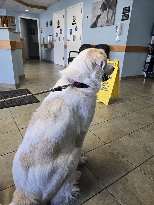 VCA Southern Tier Animal Hospital Picture 2