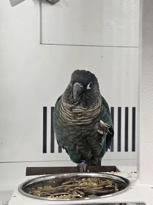 Petco Picture 5