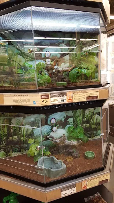 Petco Picture 4