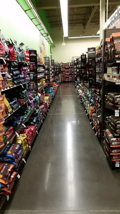 Petco Picture 8