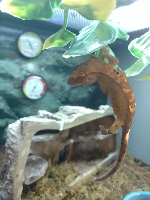 Petco Picture 6