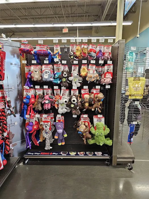 Petco Picture 2
