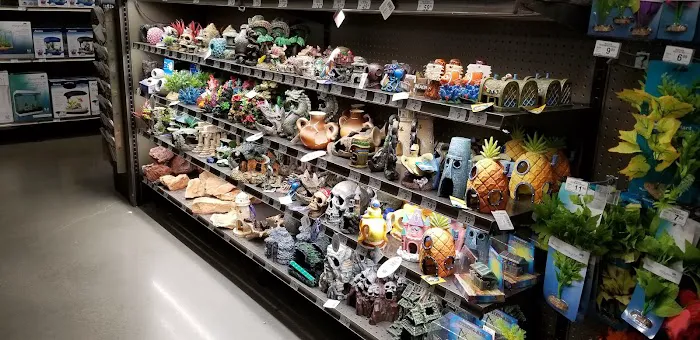 Petco Picture 5
