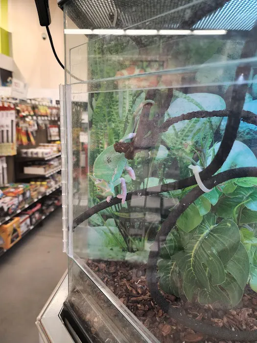 Petco Picture 8