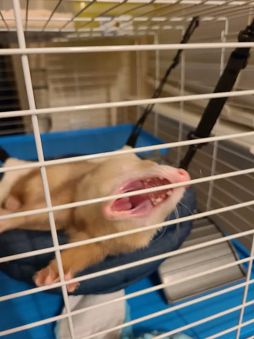 Petco Picture 2