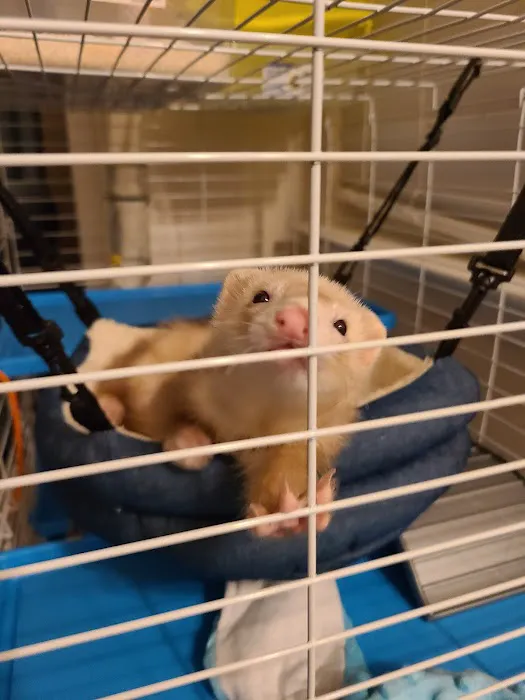 Petco Picture 4