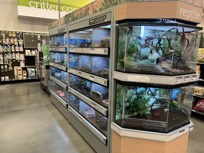 Petco Picture 3