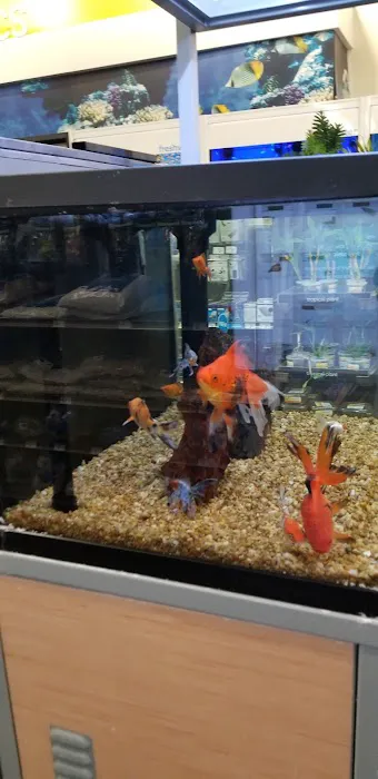 Petco Picture 10