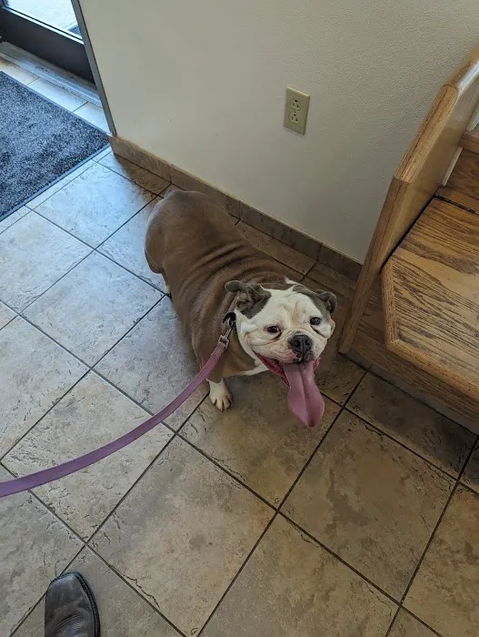 Rockland Veterinary Care - Hudson Valley Picture 4