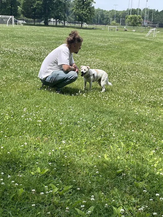 Rockland Veterinary Care - Hudson Valley Picture 10