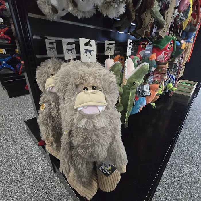 EarthWise Pet Supply & Grooming - Fuquay Picture 7