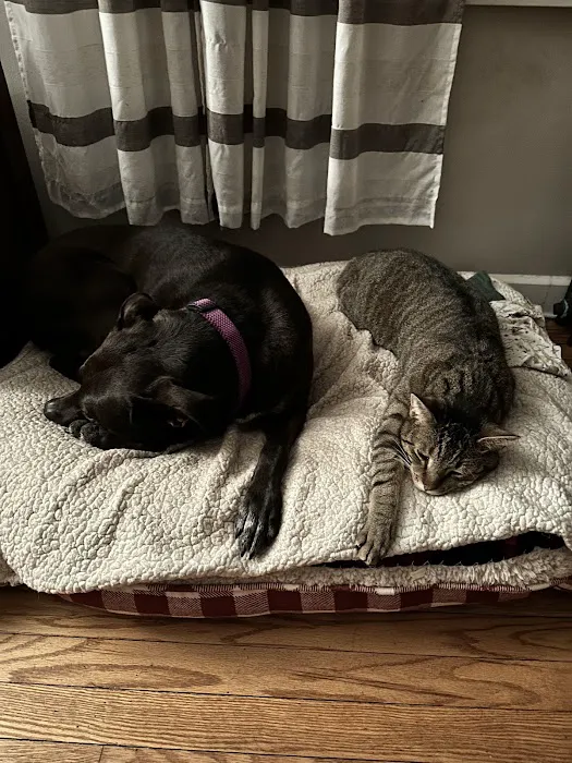 Palisades Veterinary Hospital Picture 4