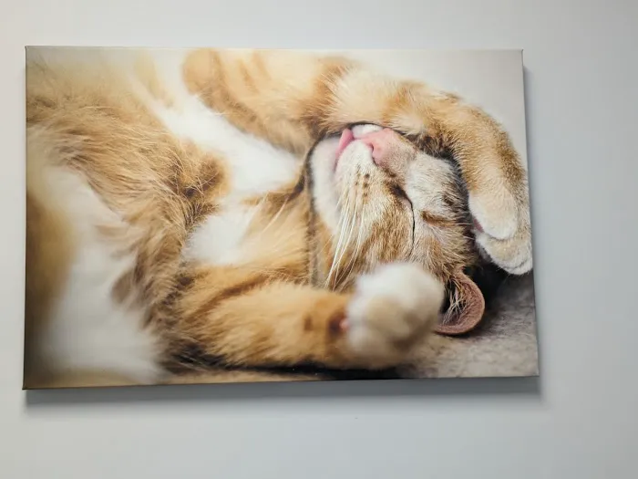 Palisades Veterinary Hospital Picture 9