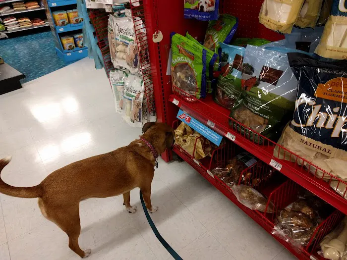 Petco Picture 3