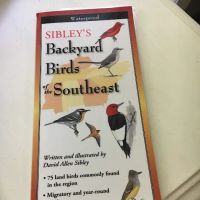 Outdoor Bird Co ico