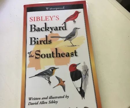 Outdoor Bird Co