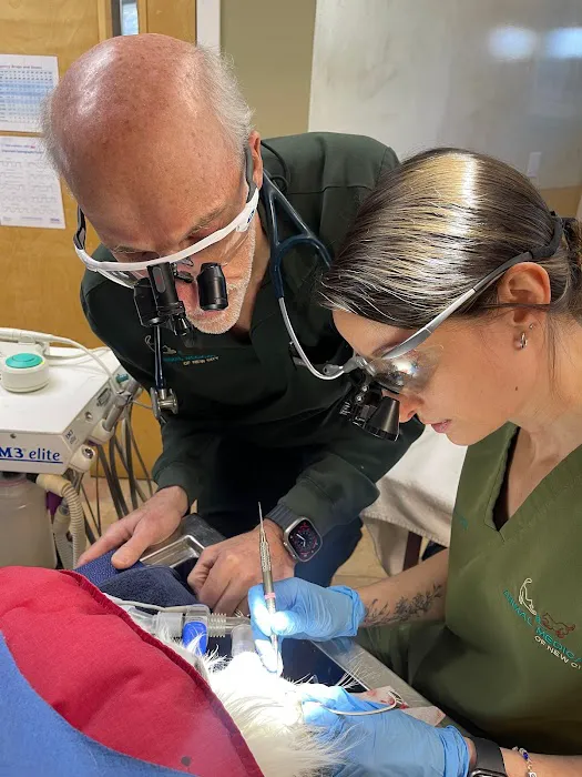 Animal Medical of New City Picture 1