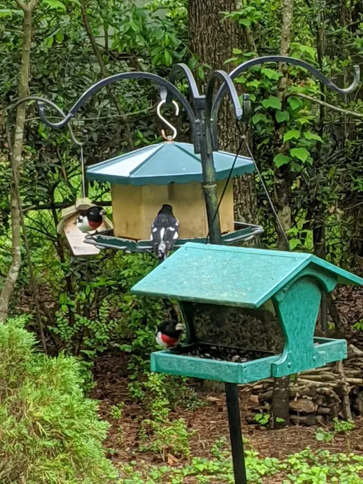 Backyard Birds and Gifts, Inc. Picture 5