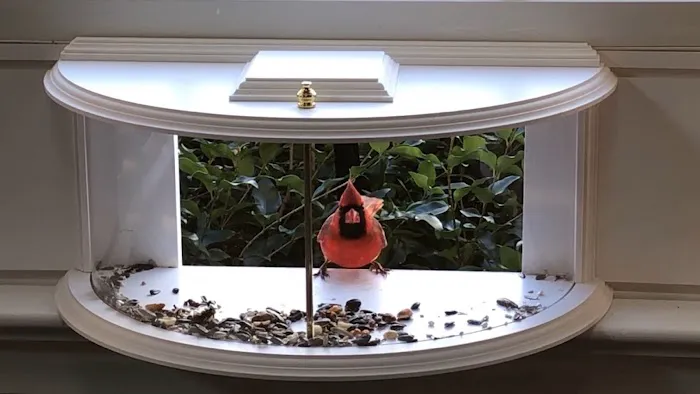 Paradise Birdhouses Picture 3