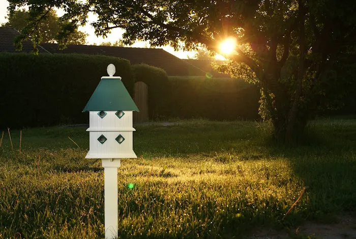 Paradise Birdhouses Picture 5