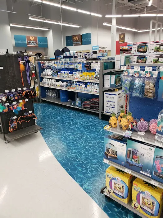 Petco Picture 1