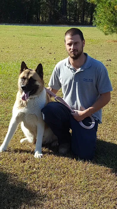 Twin OAK AKITAS Picture 7