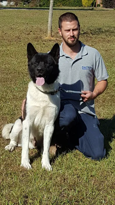 Twin OAK AKITAS Picture 6