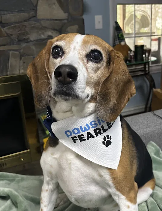 Creature Comforts Animal Hospital, P.C. Picture 6