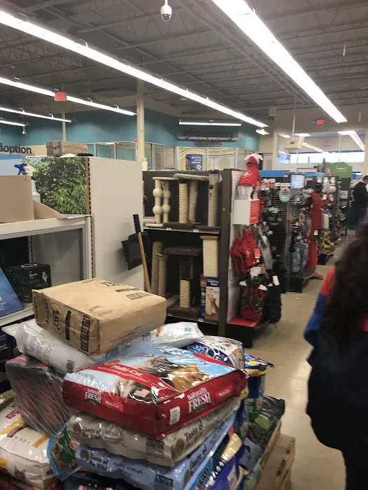 Petco Picture 7