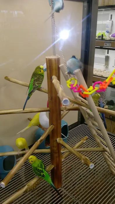 Petco Picture 4