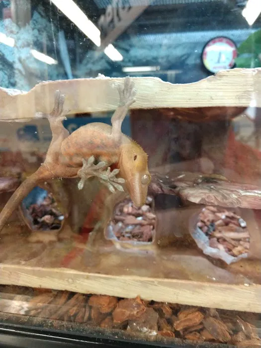 Petco Picture 10