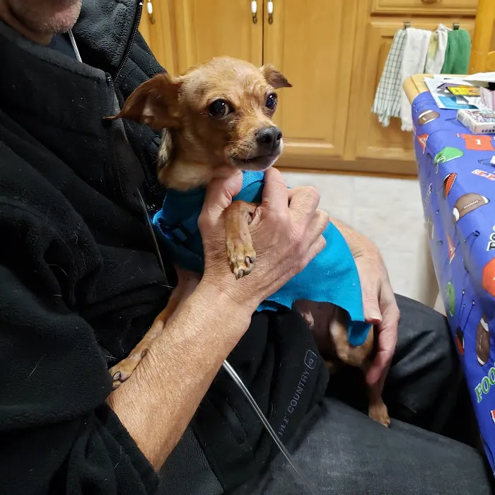 Poughkeepsie Animal Wellness Picture 5