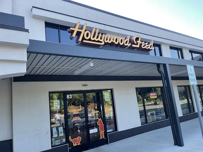 Hollywood Feed Picture 2