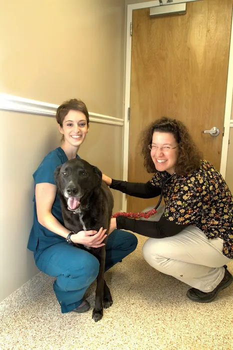 Full Circle Veterinary Hospital Picture 3