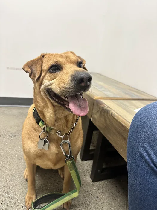 Vetco Total Care Animal Hospital Picture 7