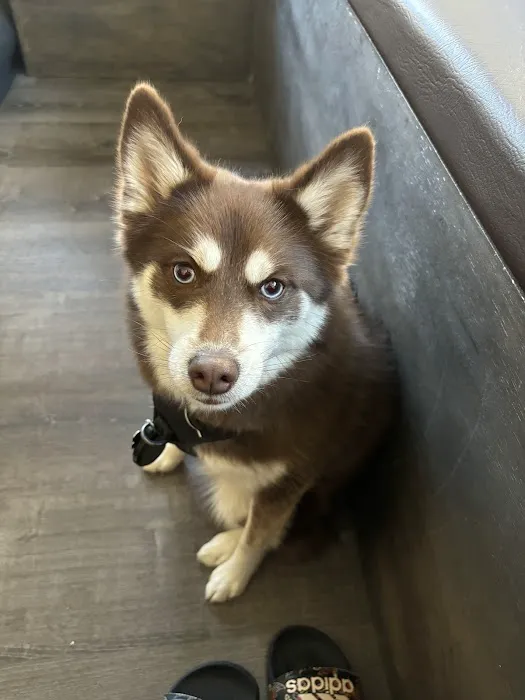 Vetco Total Care Animal Hospital Picture 10