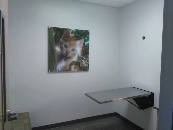 Vetco Total Care Animal Hospital Picture 8