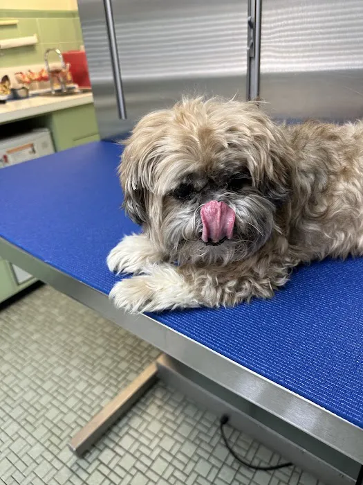 Banister Animal Hospital Picture 6