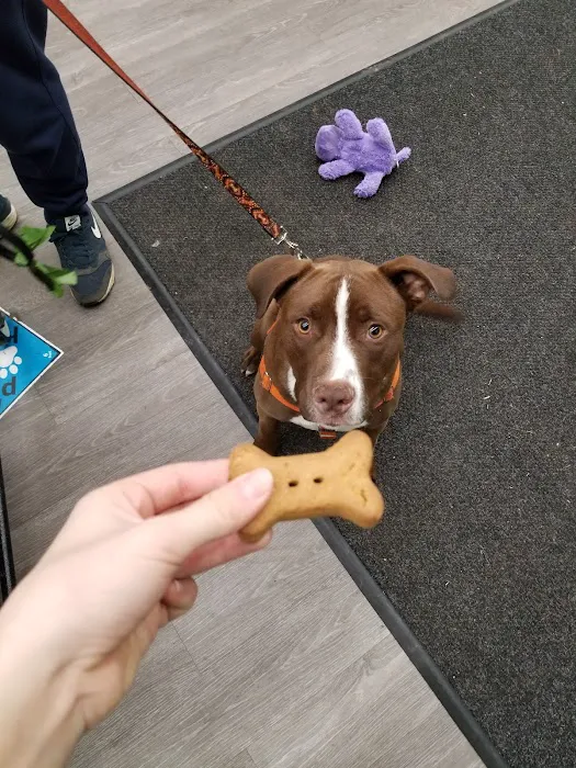 Pet Supplies Plus Durham Picture 8