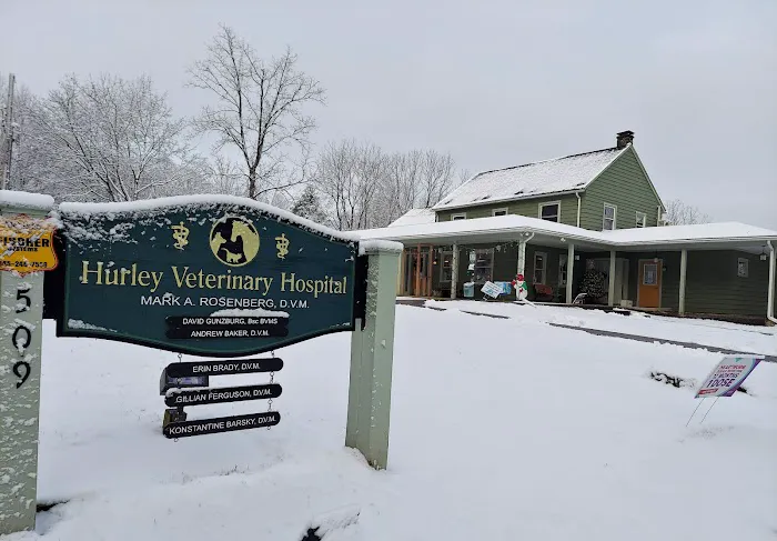 Hurley Veterinary Hospital Picture 3